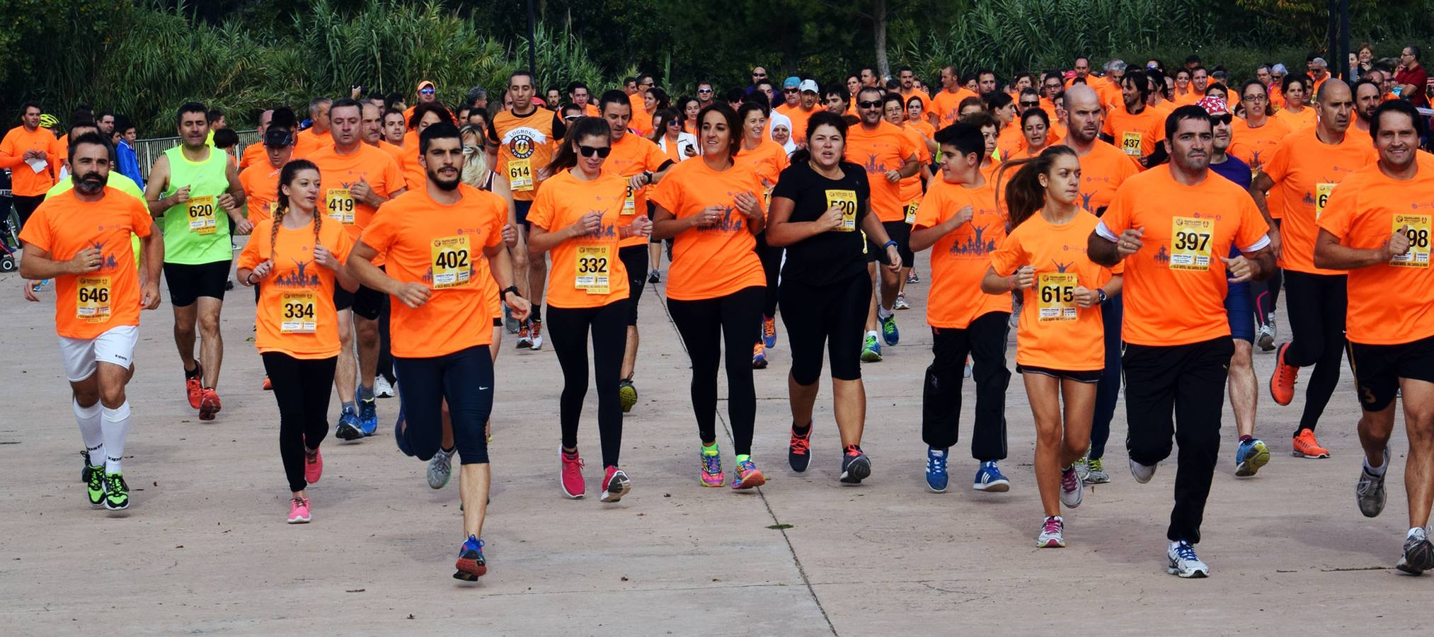 Carrera DMSM Arfes